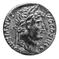 anteprima