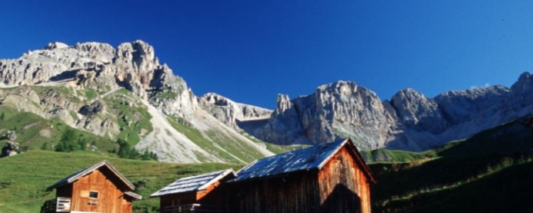 anteprima