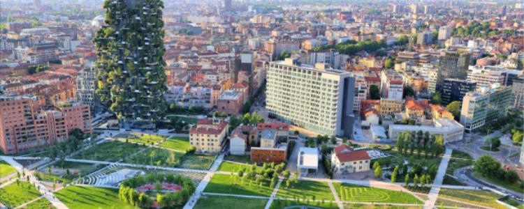 anteprima