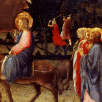 anteprima