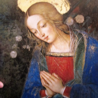 anteprima