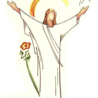 anteprima