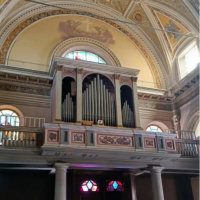 anteprima